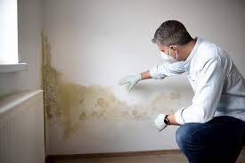 Best Crawl Space Mold Remediation  in Smithville, TX